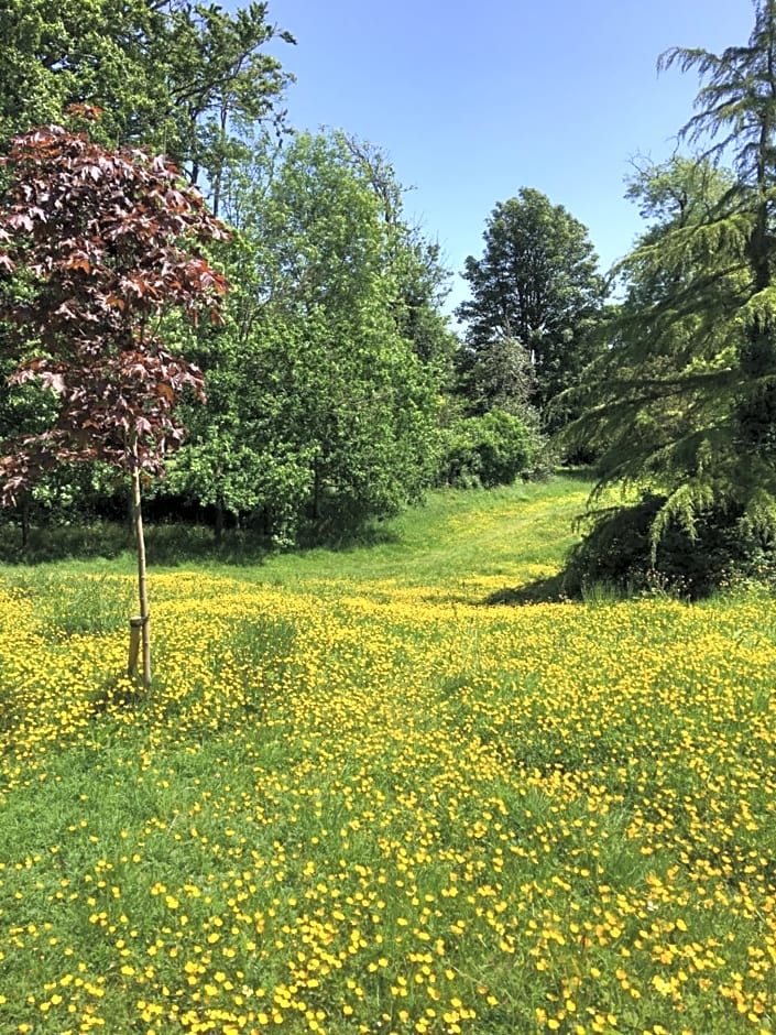 Wynberg House Bed & Breakfast Swansea