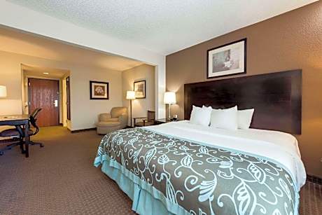 1 King Bed Mobility Accessible Room Non-Smoking