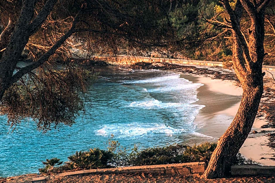 Iberostar Waves Pinos Park