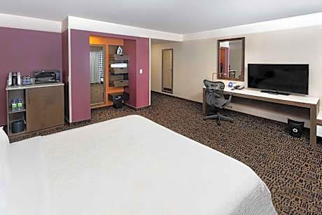 One-Bedroom King Suite