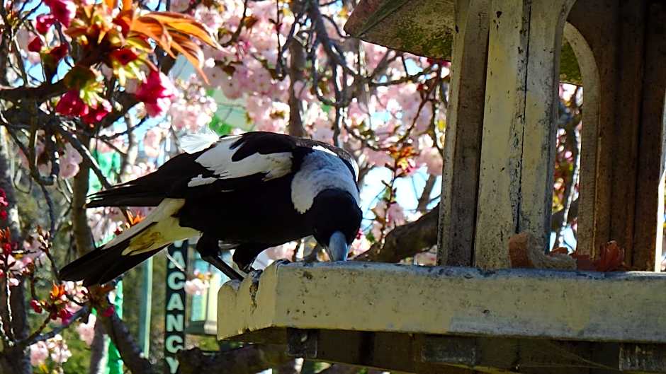 Bowral Road Art Gallery Bed and Breakfast