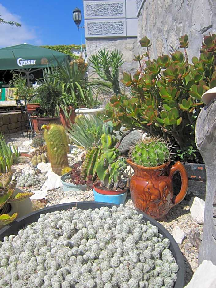 Guest House Veronika