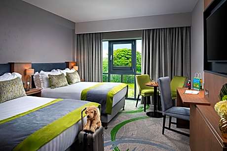 Premium Twin Double Room