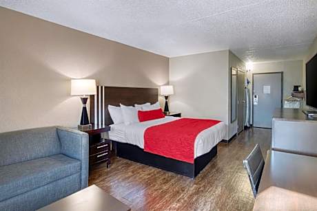 1 King Bed, Nonsmoking, Sofabed