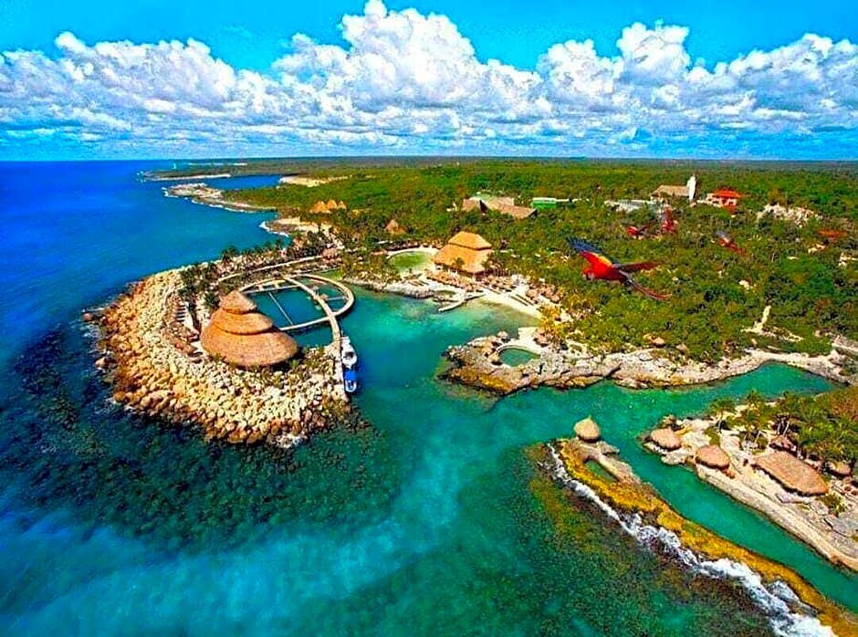 Estudios Selva y Mar by BFH