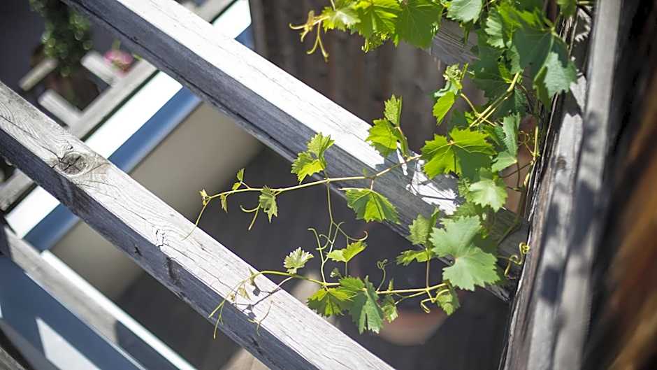Das Biorefugium Theiner's Garten