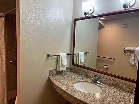 AcessSuite1KingBedMobilityAcessBathtubSofabedMicrowaveRefrigeratorWiFiNoSmokFullBreakfast