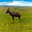 Muthu Keekorok Lodge, Maasai Mara, Narok