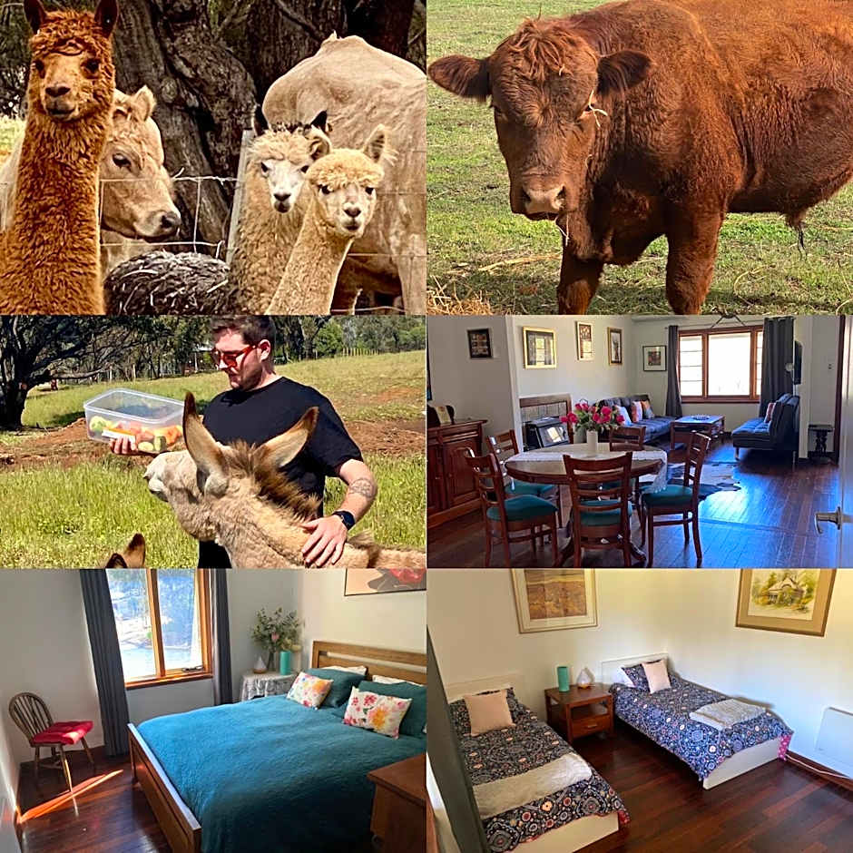 Sandalwood Downs Fabulous Farm Stay TOODYAY