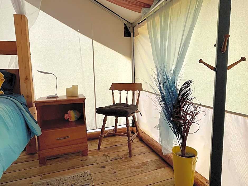 So Damn Lucky Glamping