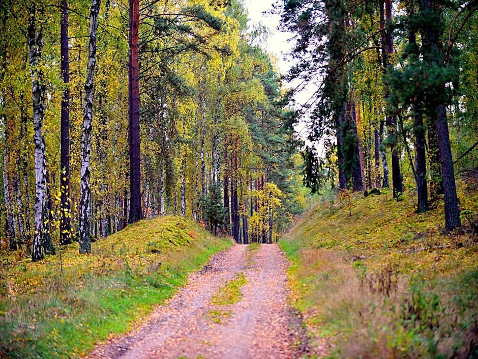Nationalparkhotel Kranichrast