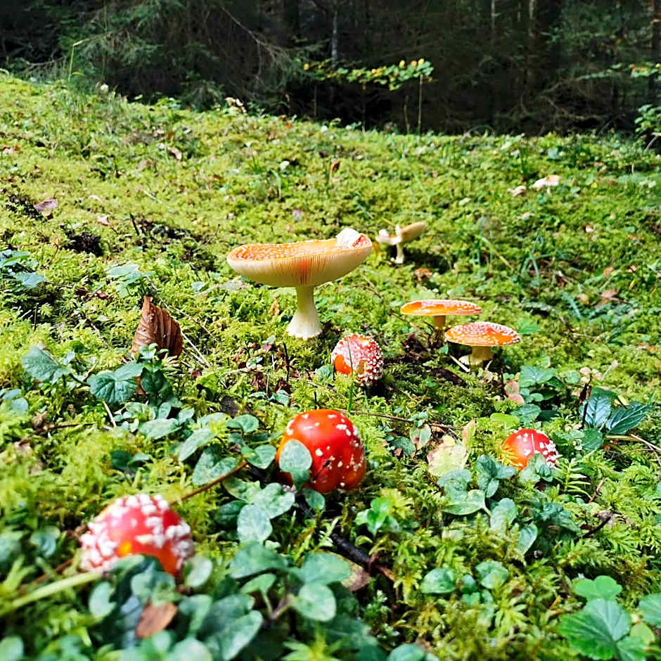 Gasthof Kreuz Marbach