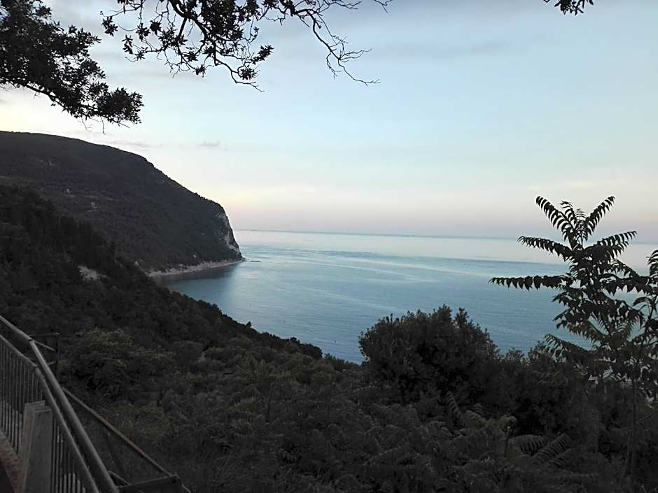 Affittacamere Villa Zelinda