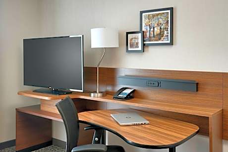 Deluxe King Guest Room with Sofa Bed