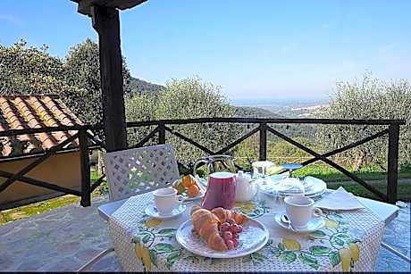Podere Bagnoli