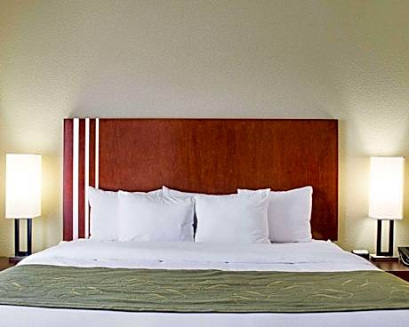 1 King Bed, Suite, Nonsmoking