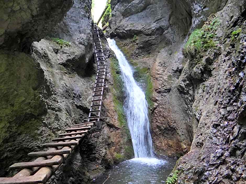 CHATY - woodyganovce sk