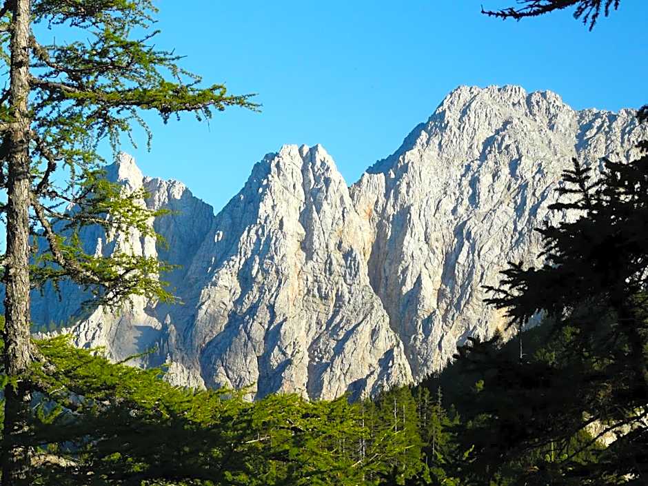 Bed&Breakfast Lausegger