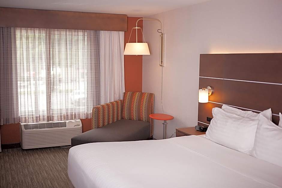 Photo 1 of 1 of Leisure 1 King Bed