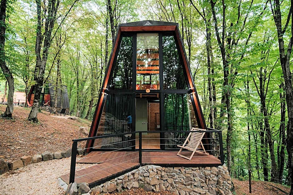 Eco Village In The Forest