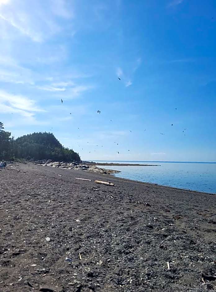 Les Chatons Azur - Chalet