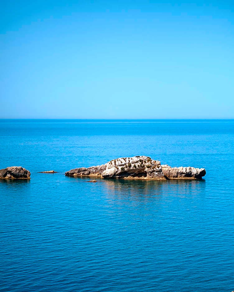 Hotel Mediterraneo Liman