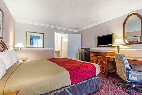 1 King Bed Nonsmoking Accessible