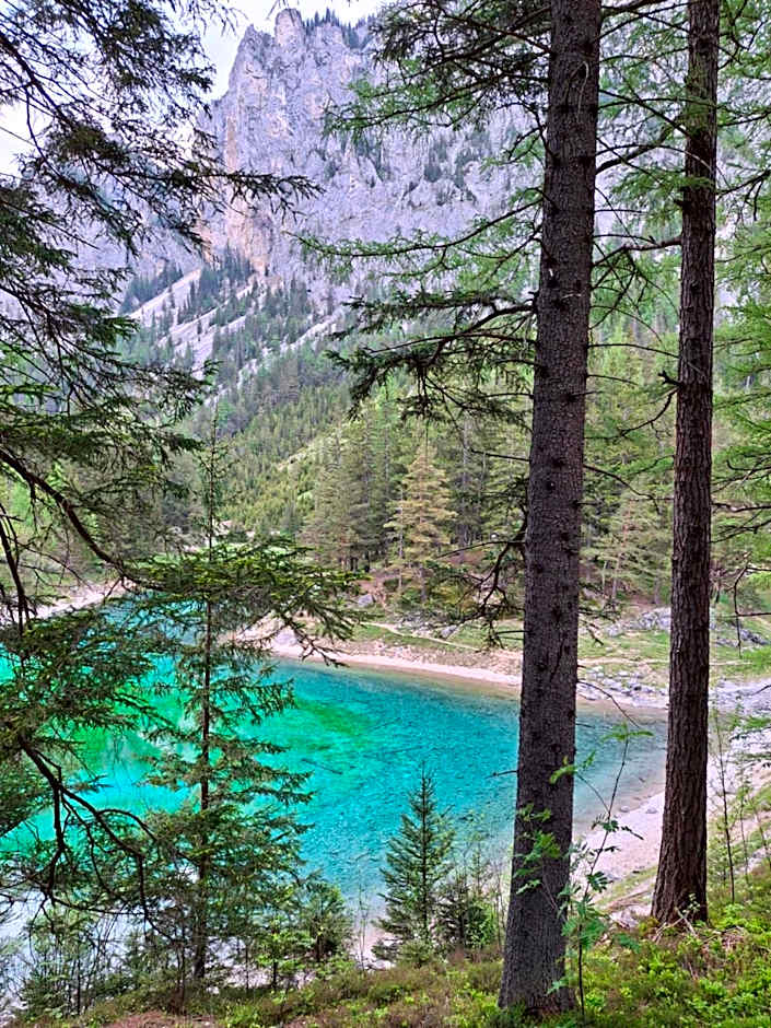 Haus Bergblick am Grünen See
