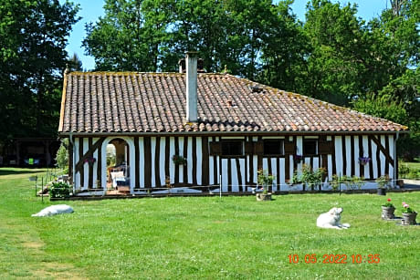 LA GRANDE JAOUGUE
