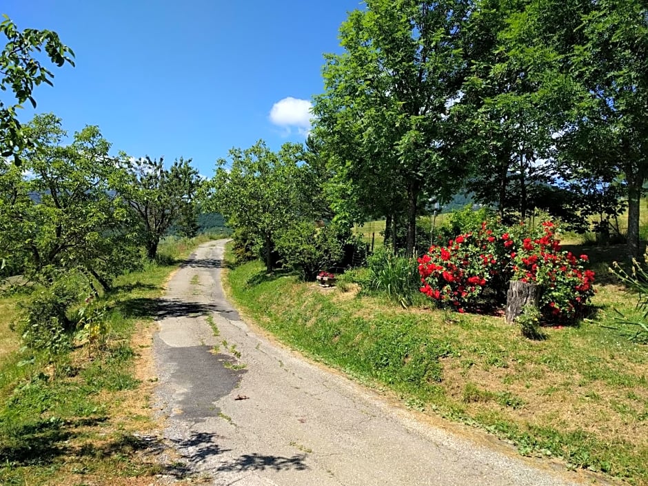 Serenella B&B