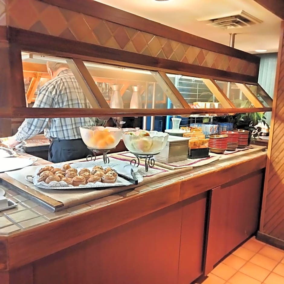 Holiday Inn At Six Flags Saint Louis by IHG
