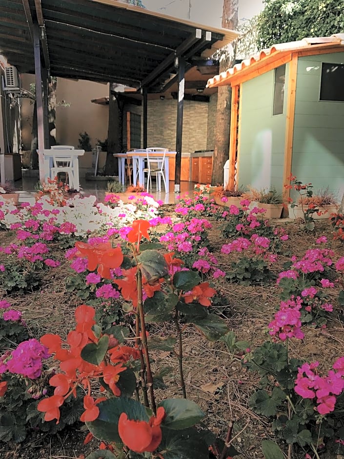 La casa di nonno Giulio