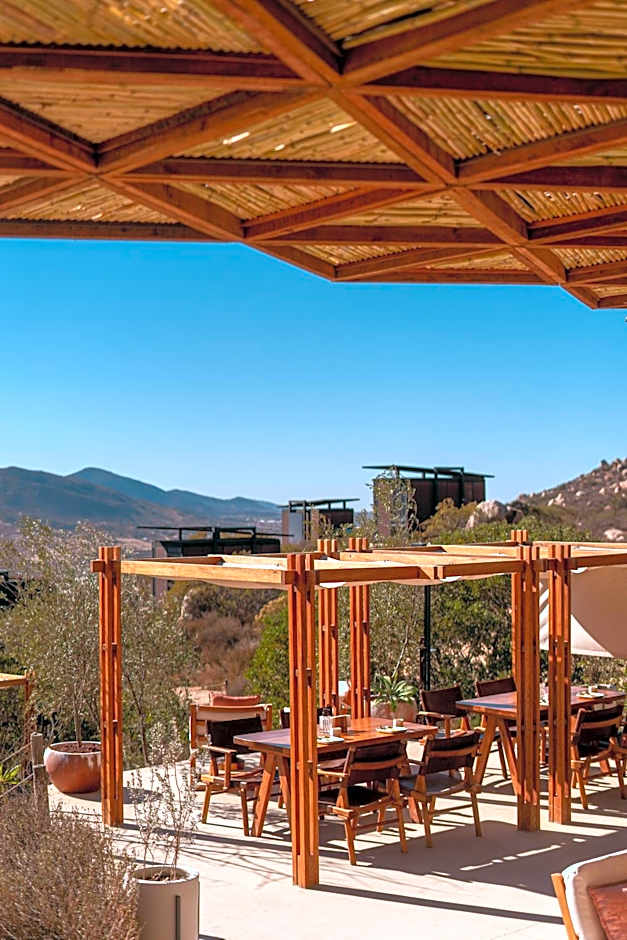 Encuentro Guadalupe