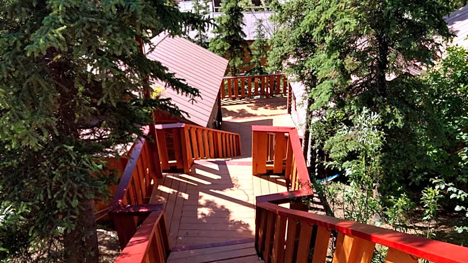 Denali Crow's Nest Cabins
