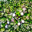 Villas Ecotucan