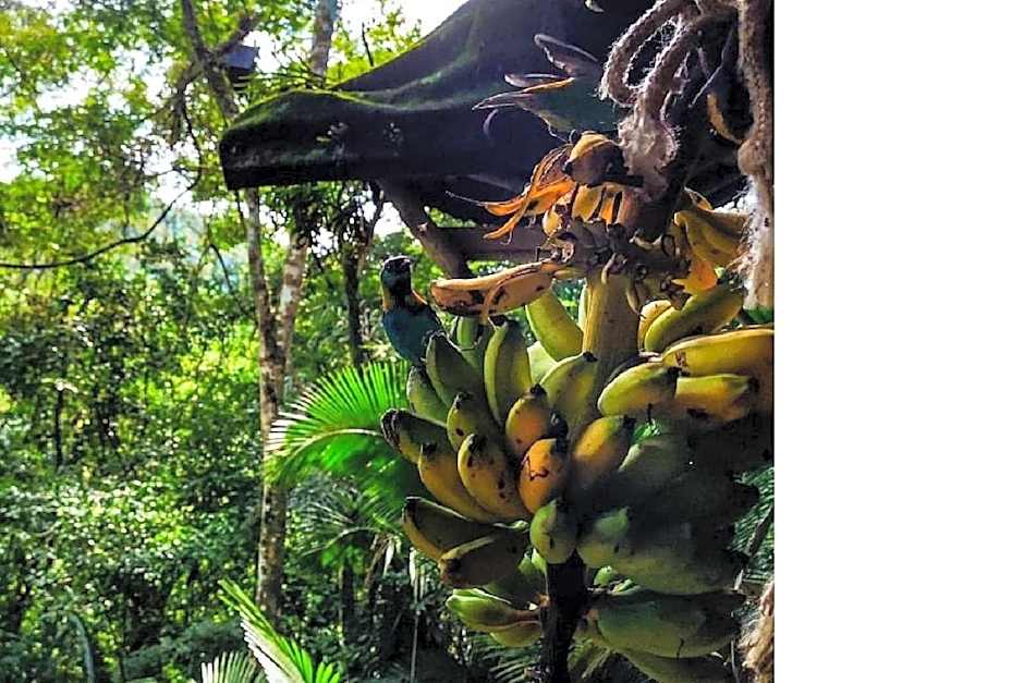 ReMo Treehouse Hostel