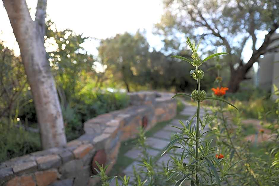 The Royal Fischer Hotel