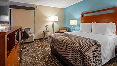 1 King Bed, Nonsmoking, Business Class