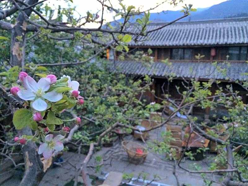 Lijiang Chayuwu Inn
