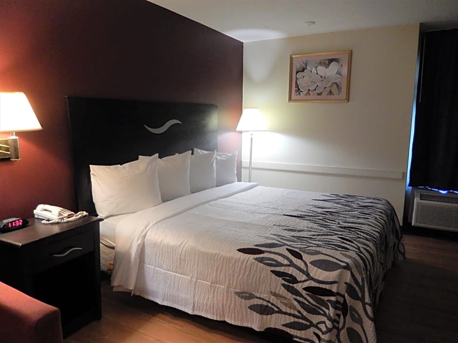 Photo 1 of 4 of Superior King Room Disability Access Smoke Free