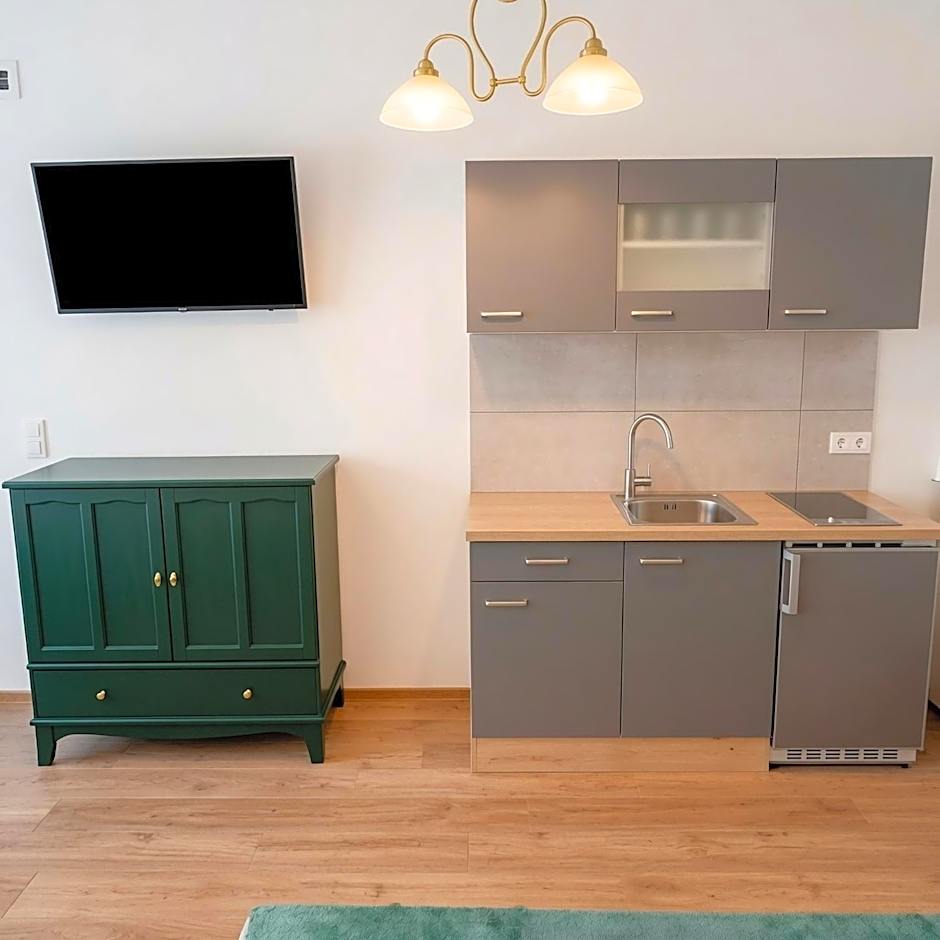 Apartments Romantic and Family Room Zemlinsky