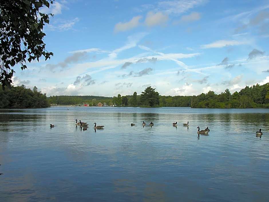 Abacus Bed and Breakfast, Blackwater, Hampshire