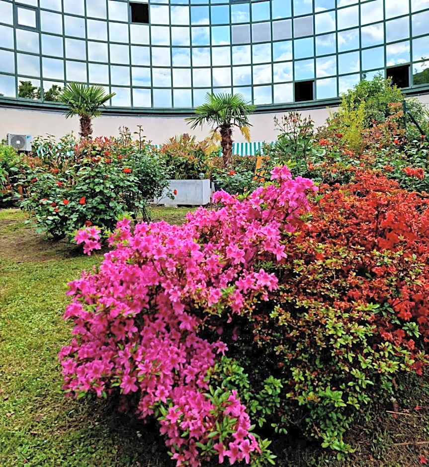 Victoria Royal Garden