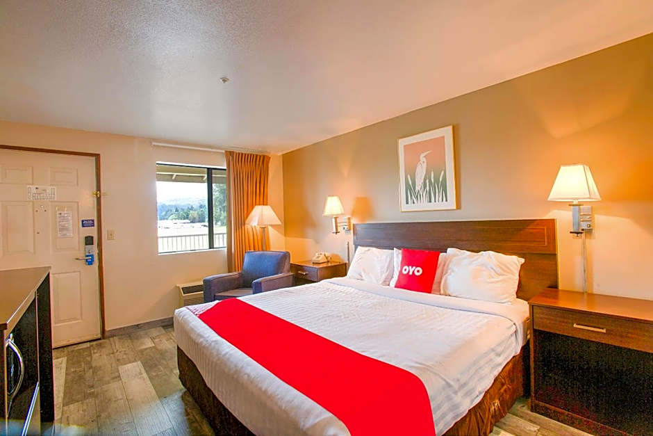 OYO Woodland Hotel and Suites