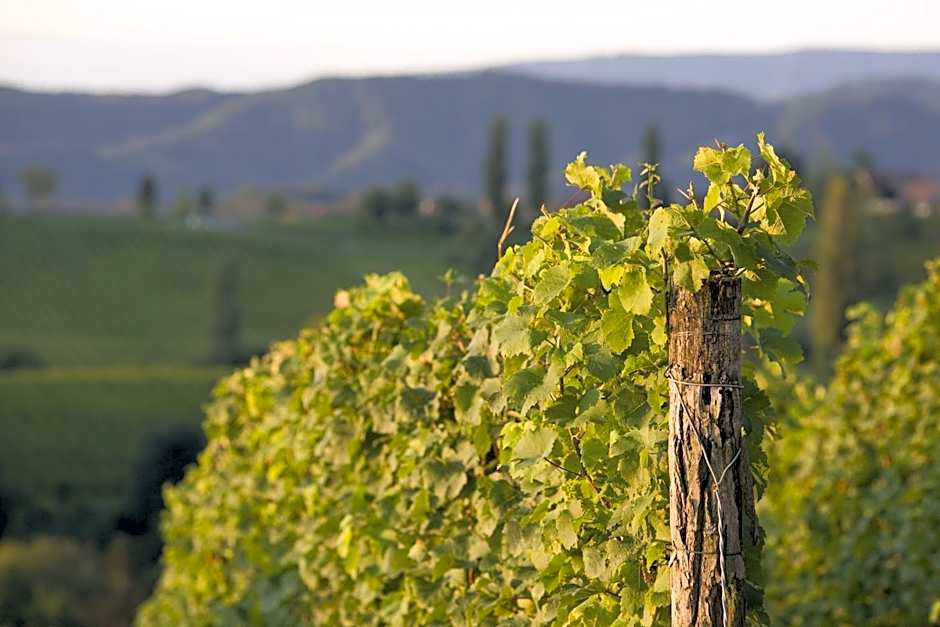 Ratscher Landhaus Wein- und Wellbeinghotel