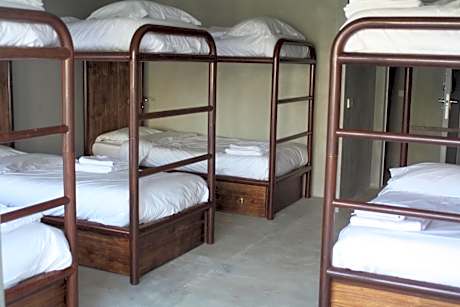 Bed in 8-Bed Mixed Dormitory Room