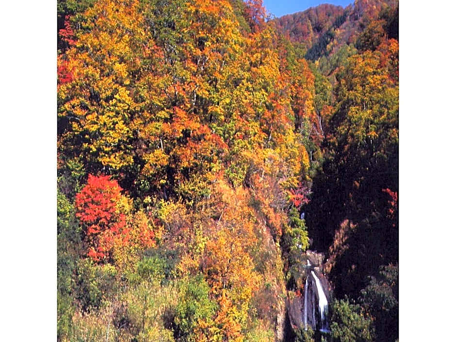 Oyasukyo Onsen Ryokan Tarobee - Vacation STAY 56764v