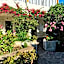 Hotel Residence Mendolita