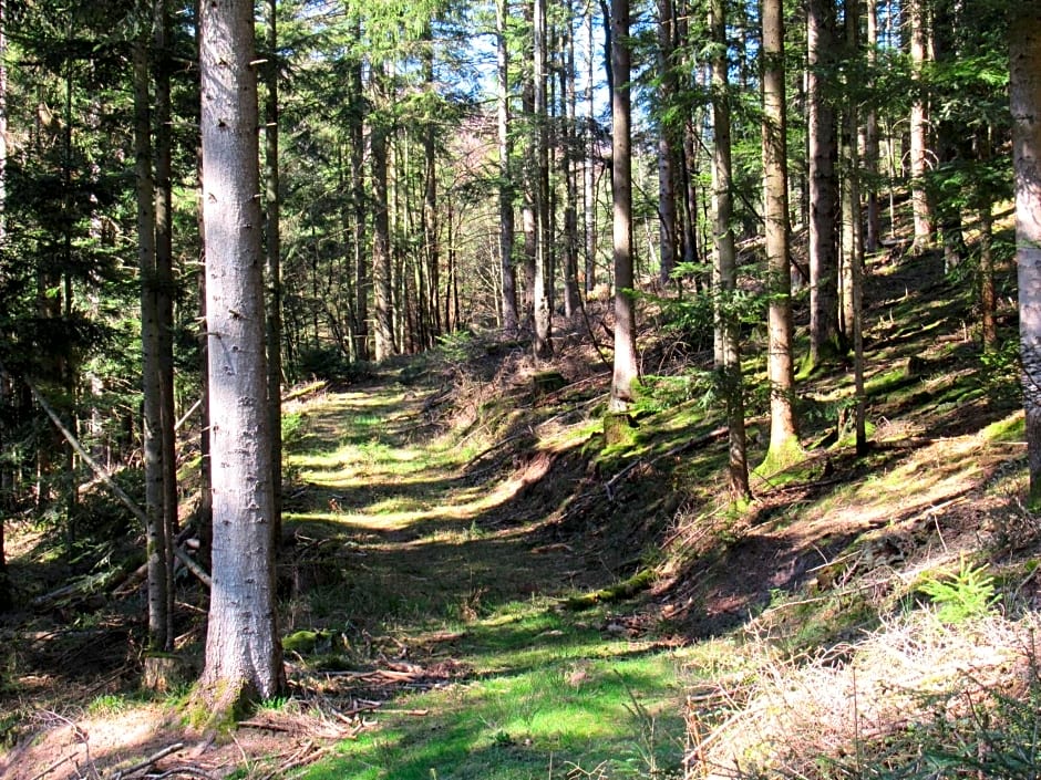 Le Clos d'Auré.