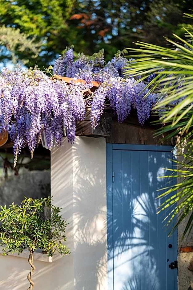 Hôtel Beau Site - Cap d'Antibes